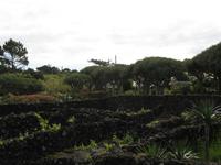 &copy; Nicole Niendorf (Eberhardt TRAVEL)