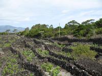 &copy; Nicole Niendorf (Eberhardt TRAVEL)