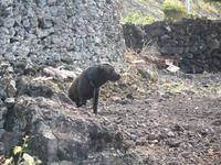 &copy; Nicole Niendorf (Eberhardt TRAVEL)