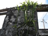&copy; Nicole Niendorf (Eberhardt TRAVEL)