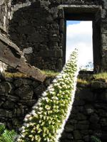 &copy; Nicole Niendorf (Eberhardt TRAVEL)