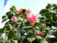 P1050085 &ndash; &copy; Vicky Kern (Eberhardt TRAVEL)