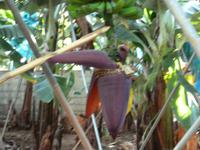 P1050135 &ndash; &copy; Vicky Kern (Eberhardt TRAVEL)