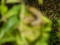 P1050169 &ndash; &copy; Vicky Kern (Eberhardt TRAVEL)