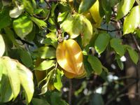 P1050171 &ndash; &copy; Vicky Kern (Eberhardt TRAVEL)