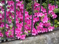 SDC10170 &ndash; &copy; Claudia Rossin (Eberhardt TRAVEL)