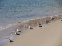 SDC11097 &ndash; &copy; Claudia Rossin (Eberhardt TRAVEL)