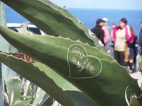 SDC11143 &ndash; &copy; Claudia Rossin (Eberhardt TRAVEL)
