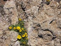 SDC11368 &ndash; &copy; Claudia Rossin (Eberhardt TRAVEL)