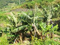 Erwischt! &ndash; &copy; Annette Lenz (Eberhardt TRAVEL)