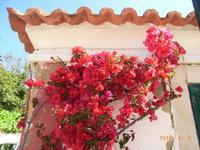 &copy; Barbara Mihut (Eberhardt TRAVEL)