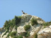 &copy; Barbara Mihut (Eberhardt TRAVEL)