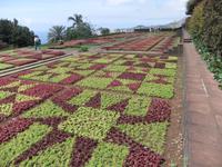 Botanischer Garten in Funchal