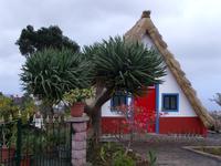 Santana &ndash; &copy; Angela Friede (Eberhardt TRAVEL)