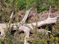 Natur pur &ndash; &copy; Angela Friede (Eberhardt TRAVEL)