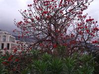 Katharinenpark &ndash; &copy; Angela Friede (Eberhardt TRAVEL)
