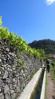 020_Wanderung entlang der Levada &ndash; &copy; Nadine Schulz (Eberhardt TRAVEL)