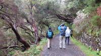 059_Wanderung Rabacal &ndash; &copy; Nadine Schulz (Eberhardt TRAVEL)
