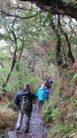 063_Wanderung Rabacal &ndash; &copy; Nadine Schulz (Eberhardt TRAVEL)