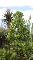 121_im Botanischen Garten in Funchal &ndash; &copy; Nadine Schulz (Eberhardt TRAVEL)
