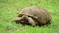 126_im Botanischen Garten in Funchal &ndash; &copy; Nadine Schulz (Eberhardt TRAVEL)