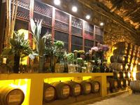122 Weinkeller &ndash; &copy; Ngoc Anh Nguyen (Eberhardt TRAVEL)