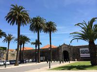 435 Cascais &ndash; &copy; Ngoc Anh Nguyen (Eberhardt TRAVEL)