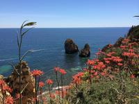 520 Bucht von Lagos &ndash; &copy; Ngoc Anh Nguyen (Eberhardt TRAVEL)