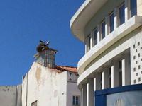 578 Faro &ndash; &copy; Ngoc Anh Nguyen (Eberhardt TRAVEL)
