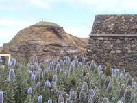 Madeira &ndash; &copy; Lars Hoffmann (Eberhardt TRAVEL)