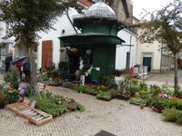 Braga &ndash; &copy; Beate Schreiber (Eberhardt TRAVEL)