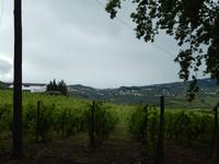 Douro-Tal &ndash; &copy; Beate Schreiber (Eberhardt TRAVEL)