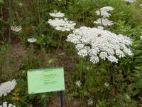 DSCN8137 &ndash; &copy; Doreen Päßler (Eberhardt TRAVEL)