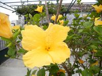 DSCN8262 &ndash; &copy; Doreen Päßler (Eberhardt TRAVEL)