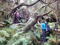 DSCN8293 &ndash; &copy; Doreen Päßler (Eberhardt TRAVEL)