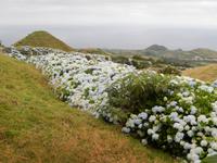 DSCN8483 &ndash; &copy; Doreen Päßler (Eberhardt TRAVEL)