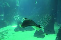 Lissabon Oceanario &ndash; &copy; Madlena Voigt (Eberhardt TRAVEL)
