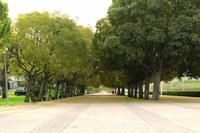 Lissabon Parque Eduardo &ndash; &copy; Madlena Voigt (Eberhardt TRAVEL)