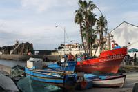 Camara de Lobos &ndash; &copy; Jacob Spangenberg (Eberhardt TRAVEL)