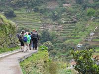 Levada von Maracos &ndash; &copy; Anne Sturm (Eberhardt TRAVEL)