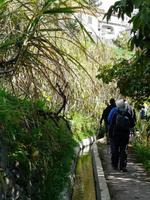 Levada von Maracos &ndash; &copy; Anne Sturm (Eberhardt TRAVEL)