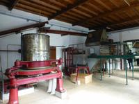 Teeplantage &ndash; &copy; Kerstin Hugel (Eberhardt TRAVEL)