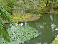 Parks Terra Nostra  &ndash; &copy; Kerstin Hugel (Eberhardt TRAVEL)