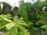 Parks Terra Nostra  &ndash; &copy; Kerstin Hugel (Eberhardt TRAVEL)