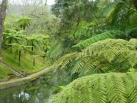 Parks Terra Nostra  &ndash; &copy; Kerstin Hugel (Eberhardt TRAVEL)