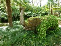 Park Terra Nostra  &ndash; &copy; Kerstin Hugel (Eberhardt TRAVEL)