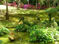 Park Terra Nostra  &ndash; &copy; Kerstin Hugel (Eberhardt TRAVEL)