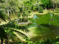 Park Terra Nostra  &ndash; &copy; Kerstin Hugel (Eberhardt TRAVEL)