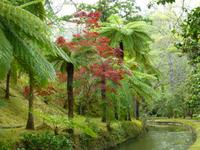 Park Terra Nostra  &ndash; &copy; Kerstin Hugel (Eberhardt TRAVEL)