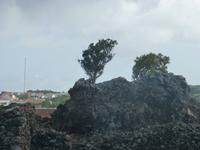 Insel Pico &ndash; &copy; Kerstin Hugel (Eberhardt TRAVEL)
